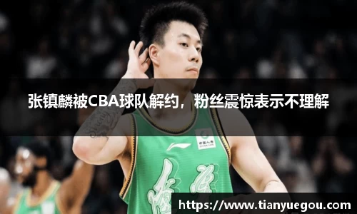 张镇麟被CBA球队解约，粉丝震惊表示不理解